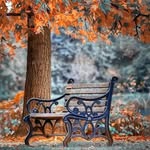 Brianan Casserly - @brianancasserly - Instagram