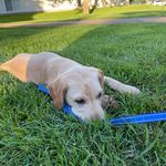 Brian Chance - @brian.chance.526 - Instagram