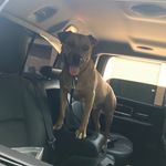 Chance_brian - @chance_brian - Instagram