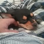 Brian Chancellor - @brian.chancellor.338 - Instagram