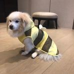 Brian Chao - Facebook
