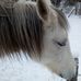 Brian Chapin - Facebook