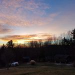 Brian Chatman - @chatmanbrian - Instagram