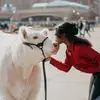 Briana :] - @briana.chatman - TikTok