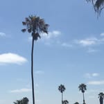 @iamnotbrianchenoweth - Instagram