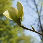 Brian Choate - @creadoccpv - Instagram