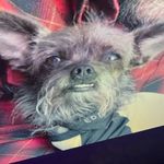 Brian Clancy - @clancybriant - Instagram