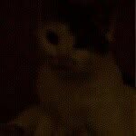 brian.clevenger - @brian_clevenger - Instagram