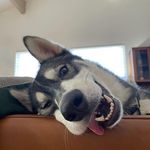 Brian Clevenger - @bwclevenger - Instagram