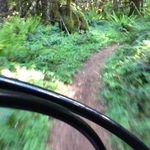 Brian Coble - @mrbcoble - Instagram