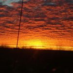 Brian Coile - @briancoile - Instagram