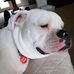 Brian Collie - Facebook