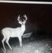 Bryan Collie - Facebook