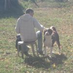 Brian Comstock - @brian.comstock.73 - Instagram