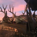 Brian Comstock - @bcomstock50 - Instagram