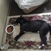 Bryan Comstock - Facebook