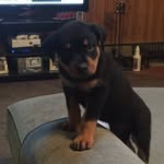 Brian Conaway - @conaway4729 - Instagram