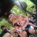 Ryan Conde - Facebook