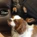 Brian Congdon - Facebook