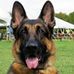 Brian Congdon - Facebook