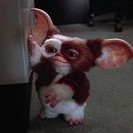 @brian_conneely - Instagram