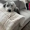 BrianConner - @bconner925 - TikTok