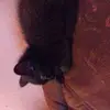 Brian Conrad - @brian.conrad29 - TikTok