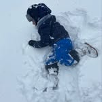 Brian C - @brianconstantinescu - Instagram