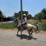 Brian Contreras - @briancontreras387 - Instagram