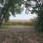 Brian Corbin - @briancorbin15 - Instagram