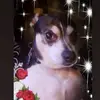 Brian CORRELL - @briancorrell - TikTok