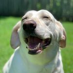 Brian Corriveau - @briancorvo - Instagram