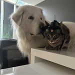 Brian Etcor - @corriveau.brian - Instagram
