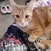 Brian Corson - @brian.corson - TikTok