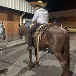 Brian Cortina - @brrrr_cortains - Instagram