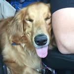 Cosby - @brian_cosby55 - Instagram