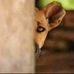 Brian Cosper - Facebook