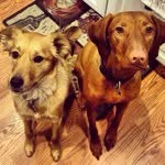 @briancosper - Instagram
