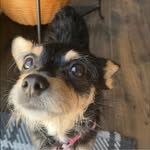 Brian Costin - @b.costin77 - Instagram