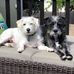 Brian Costley - Facebook