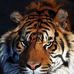 Brian Cotgrove - Facebook