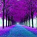 Brian Kitterman - Facebook