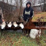 Brian Cottingham - @briancott - Instagram