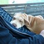 Brian Counihan - @bpcounihan - Instagram