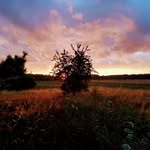 Brian Cournoyer - @mirianguntonwy - Instagram