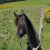 Bryan Couto - @bryan.couto - TikTok