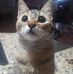 Bryan Cova - Facebook