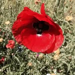 Brian Cowen - @brian_from_newy - Instagram