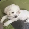 brian craddock - @brian.craddock4 - TikTok