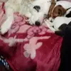 Bryan Craddock - @bryan.craddock4 - TikTok